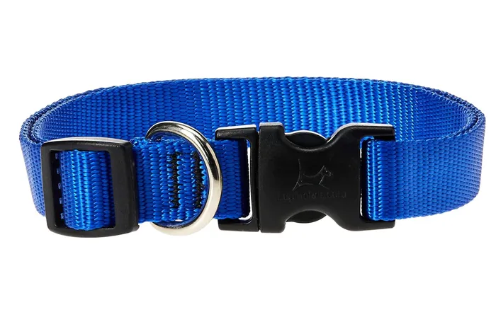 Lupine 3/4" Adj. Collar Blue 15-25"