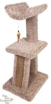 Kitty Cradle With Corrugated Scratcher