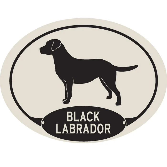 Black Labrador Euro