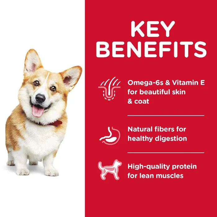 Science Diet Dog Adult Small Breed Chicken 5#