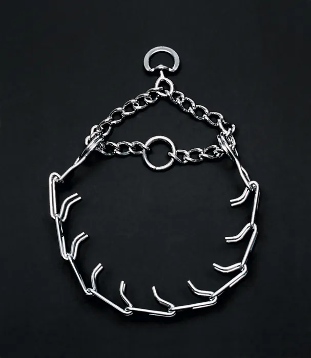 Dog Prong Training Collar - Chrome 4.0 Mm X 22"