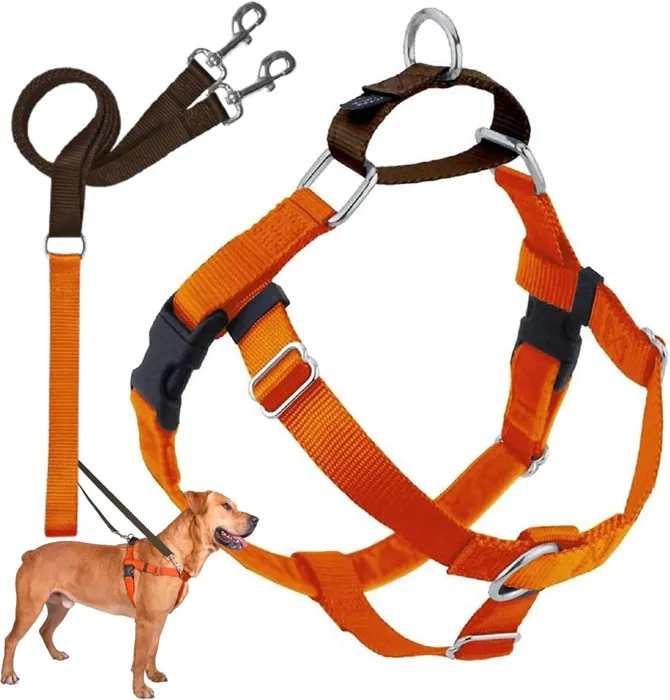 2 Hounds Freedom Harness Orange 1" XL
