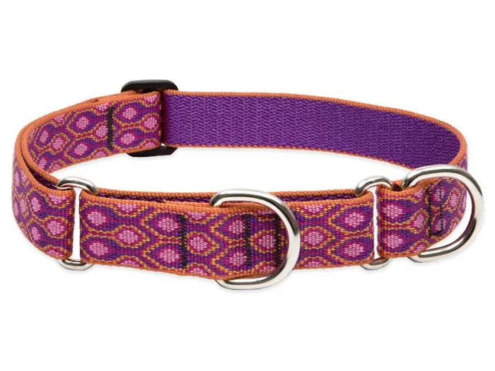 Lupine 1" Alpen Glow 15"-22" Martingale