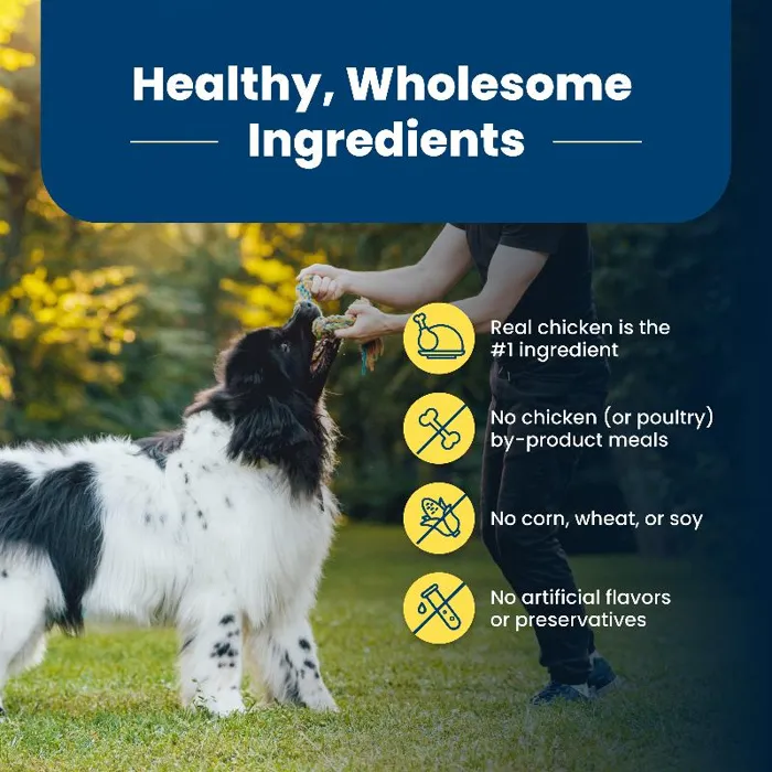 Blue Buffalo Life Protection Formula Healthy Weight Chicken & Brown Rice Adult Dog Food 30-lb