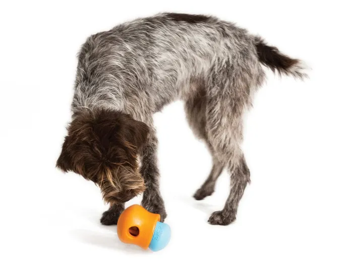 West Paw Toppl Small Aqua