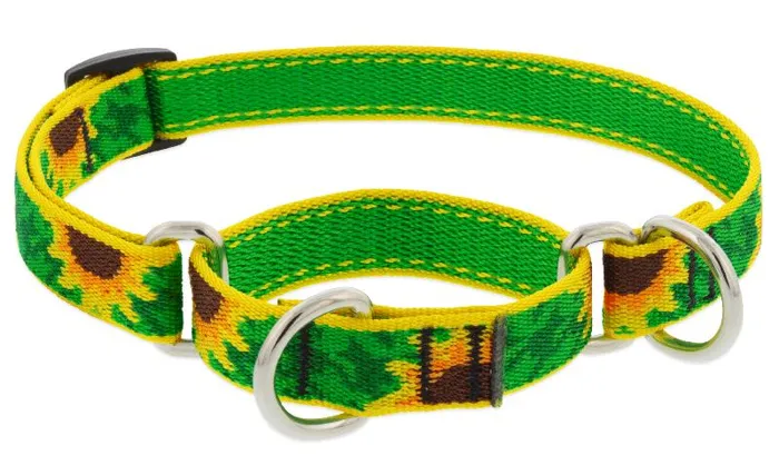 Lupine 1" Sunflower 15-22" Martingale