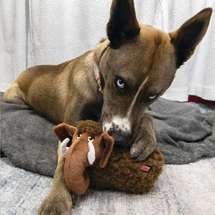 KONG Toughz Mammoth brown medium plush toy with dog