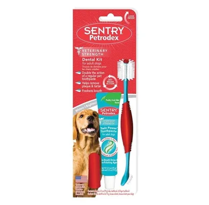 Dental Kit Dog Poulty Paste