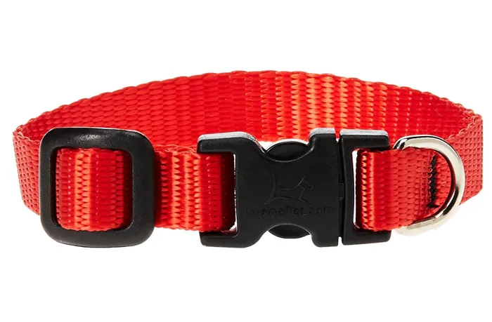 Lupine 1/2" Adj. Collar Red 6-9"