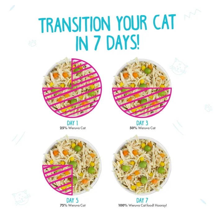 Weruva Cat Rudi Recipe Variety Pack 12pk/3oz