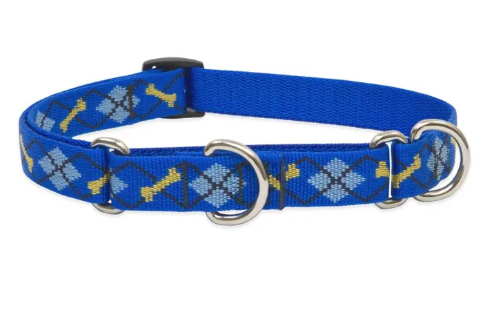 Lupine 3/4" Dapper Dog 14-20" Martingale