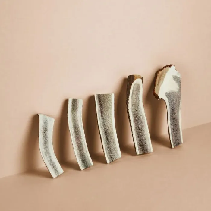 Canophera Dog Split Red Deer Antler Medium