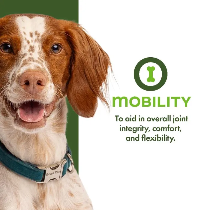 Fromm Dog Nutritionals Mobility 6oz
