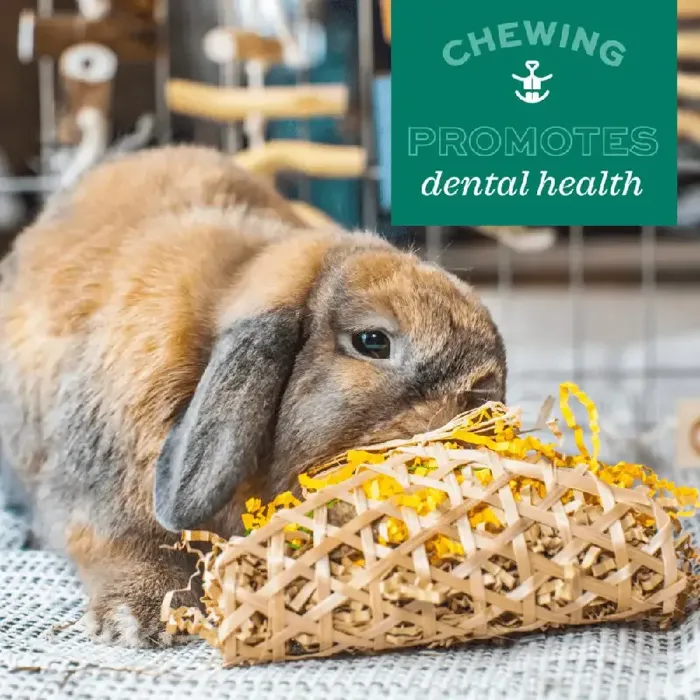 Oxbow Chew Celebration Party Pack