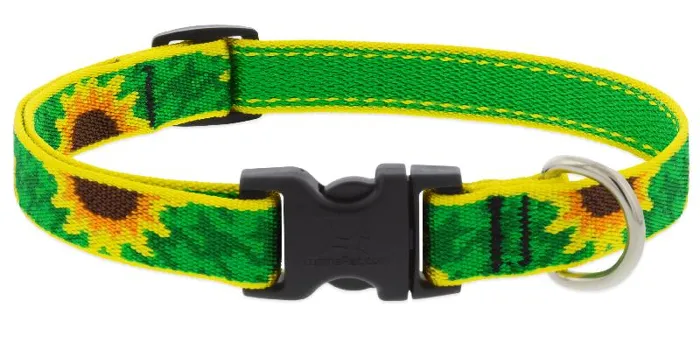 Lupine 1/2" Adj. Collar Sunflowers 6-9"
