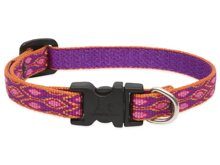 Lupine 1/2" Adj. Collar Alpen Glow 6-9"