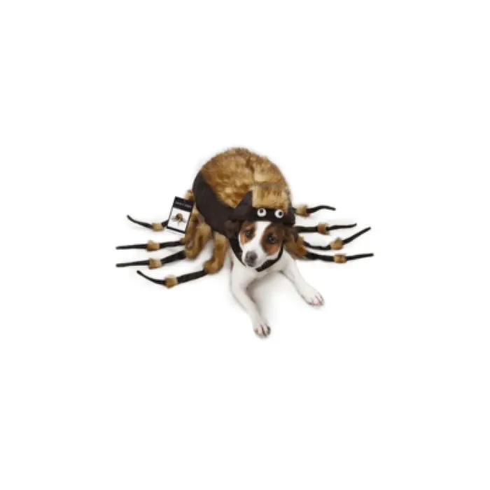 Tarantula Costume Medium