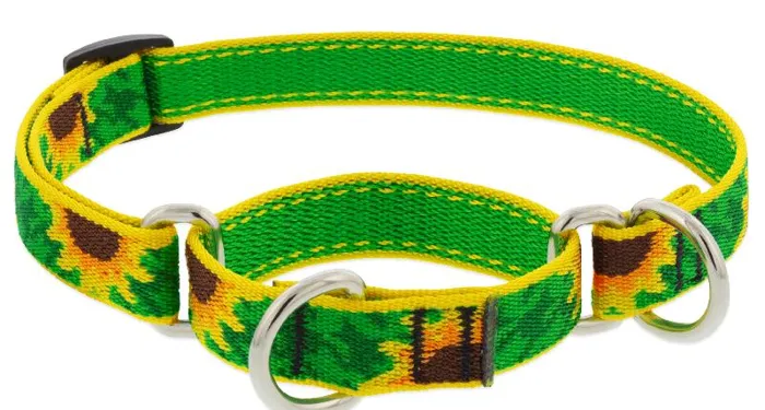 Lupine 3/4" Sunflowers 10-14" Martingale