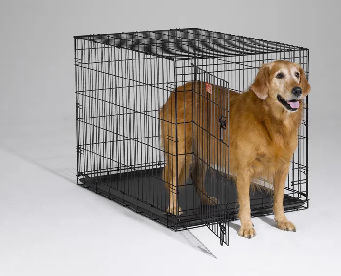 I-crate Single Door Folding Dog Crate 42"x28"x30"