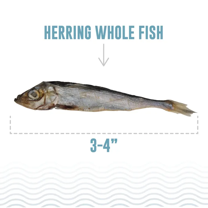 Icelandic Plus Cat Treat Herring 1.5oz