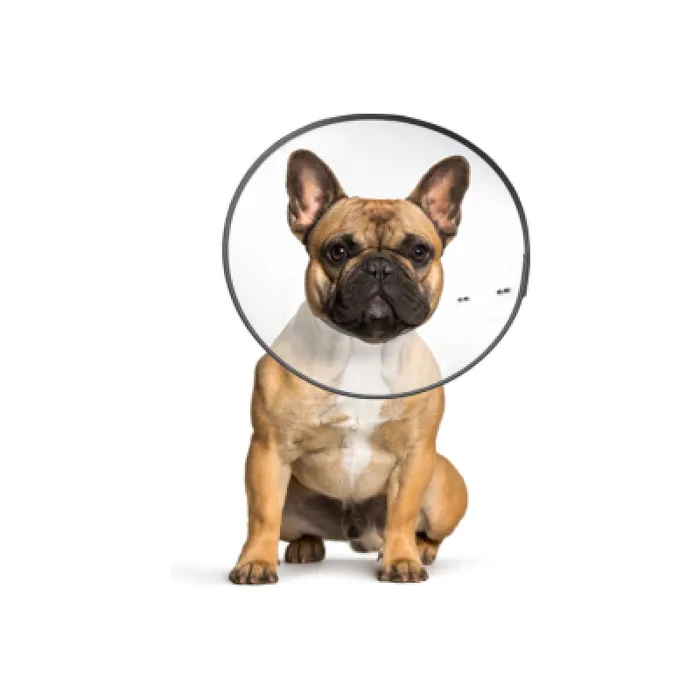 E-collar Clear Medium 5960 Cs Tech 12/cs