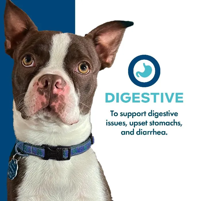 Fromm Treats Dog Nutritionals Digestive 6oz