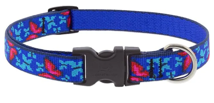 Lupine 1/2" Adj. Collar Social Butterfly 6-9"