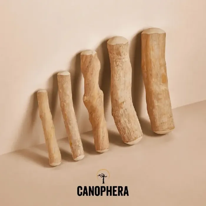 Canophera Coffee Wood Chew Stick LG