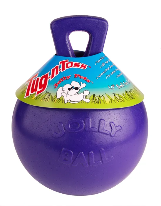 Tug N Toss Jolly Balls Assorted Colors 8"