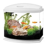 Aqueon Led Mini Bow Aquarium Smartclean Wht 5 G