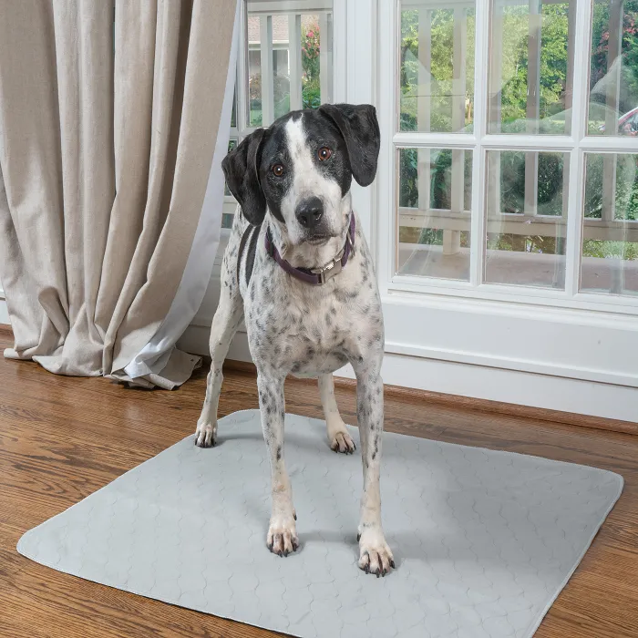 Pet Parents Washable Pad Med 34x36"