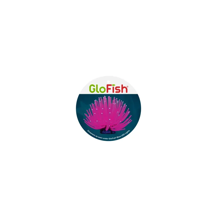 Tetra Glofish Anemone Pink Lg