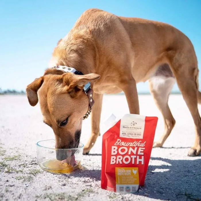 Stella & Chewy's Chicken Bone Broth 16oz