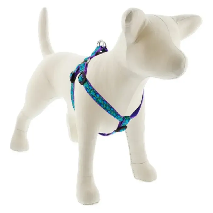 Lupine 3/4" Step In Harness Rain Song 15"-21"