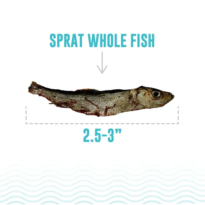 Icelandic+ Sprat Whole Fish cat treats, fish size graphic
