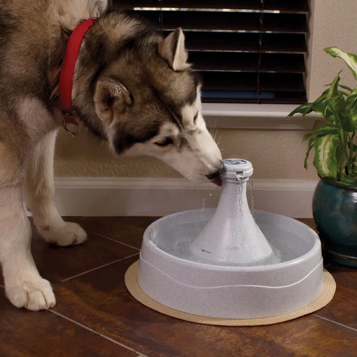 Drinkwell 360 Pet Fountain One Size