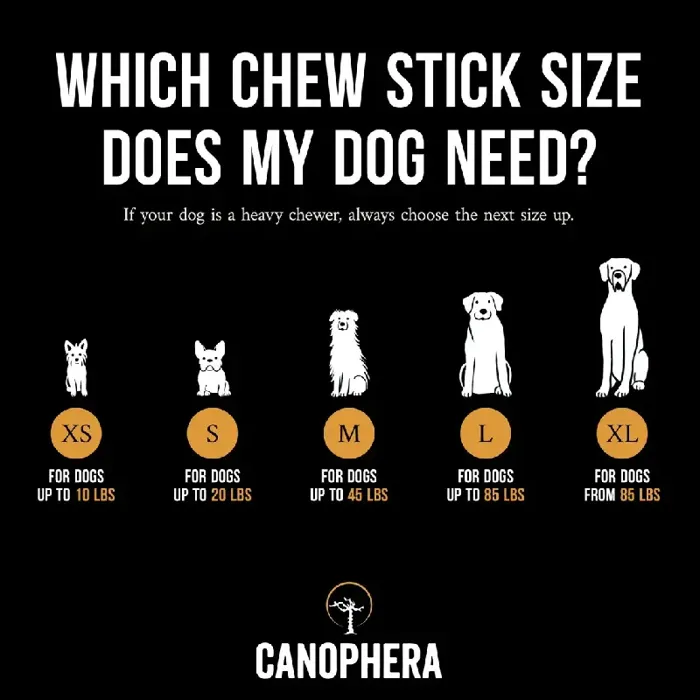 Canophera Coffee Wood Chew Stick Large