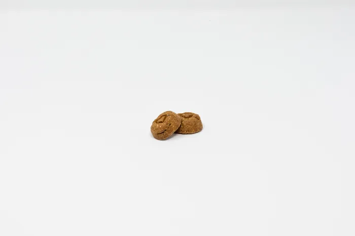 Stella & Chewy's Raw Coated Biscuit Lamb 9oz