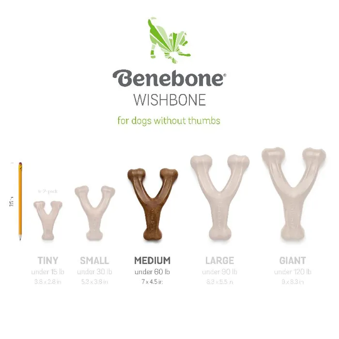 Benebone Wishbone Peanut Butter Md