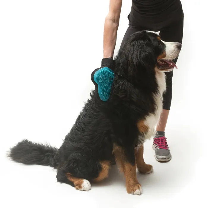 Messy Mutts Silicone Grooming Glove Blue
