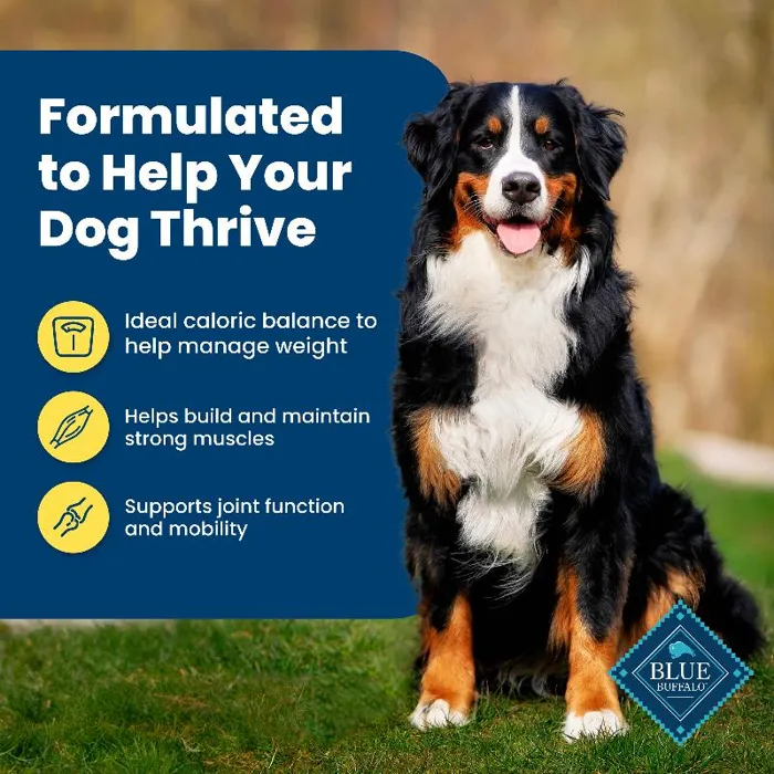 Blue Buffalo Life Protection Formula Healthy Weight Chicken & Brown Rice Adult Dog Food 30-lb