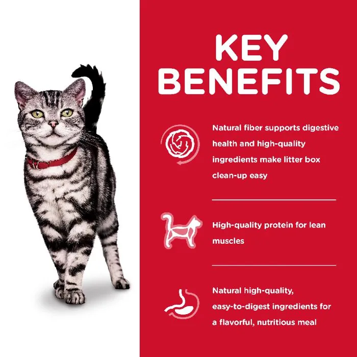 Adult Indoor Chicken Recipe Dry Cat Food 3.5#