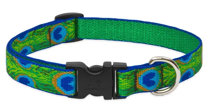 Lupine 3/4" Adj. Collar Tail Feathers 15-25"