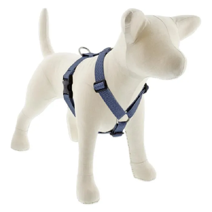 Lupine 1" Mountain Lake 24"-38" Step In Harness