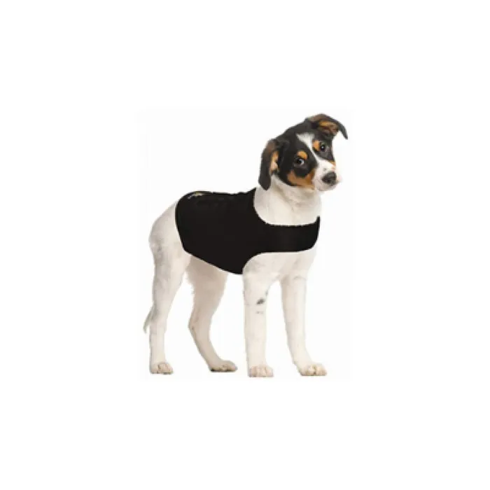 Zendog Small