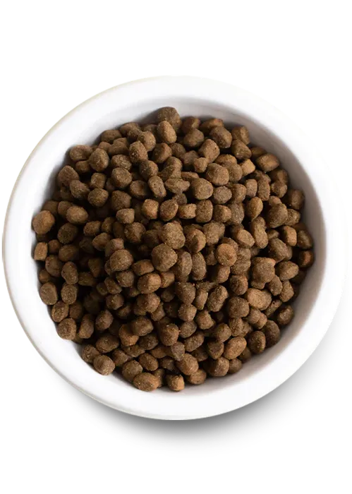 Open Farm Ancient Grains Beef 22#