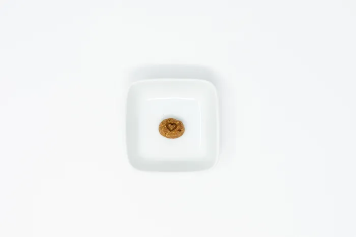 Stella & Chewy's Raw Coated Biscuit Lamb 9oz
