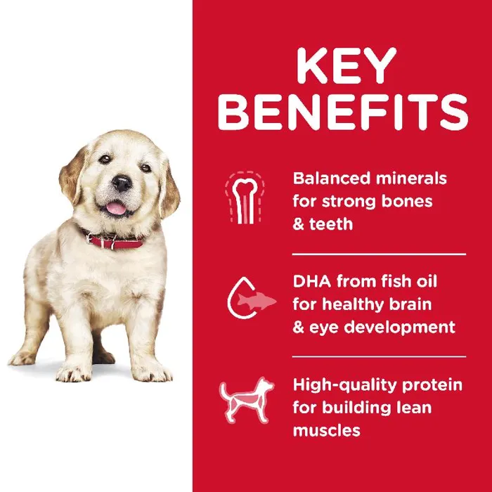 Hill's Large Breed Puppy Chicken/Rice 27.5#
