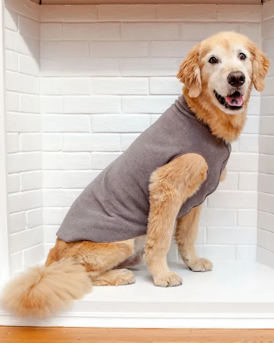 Gold Paw Fleece Charcoal 8