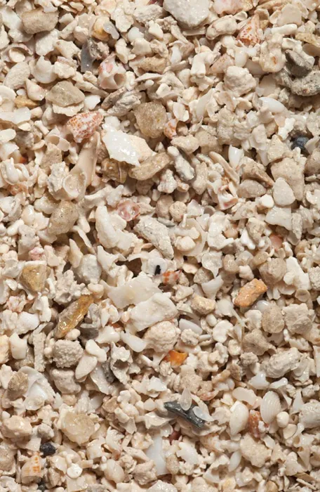 Crushed Coral 10 Lbs